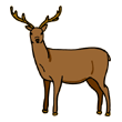 clipart-vocabulary-deer