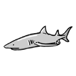 clipart-vocabulary-shark