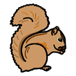 clipart-vocabulary-squirrel