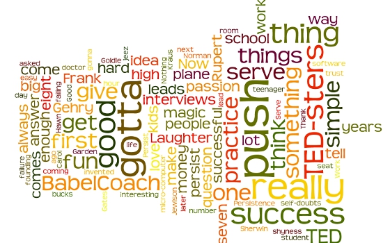 Wordle: TED, 8 secrets of success